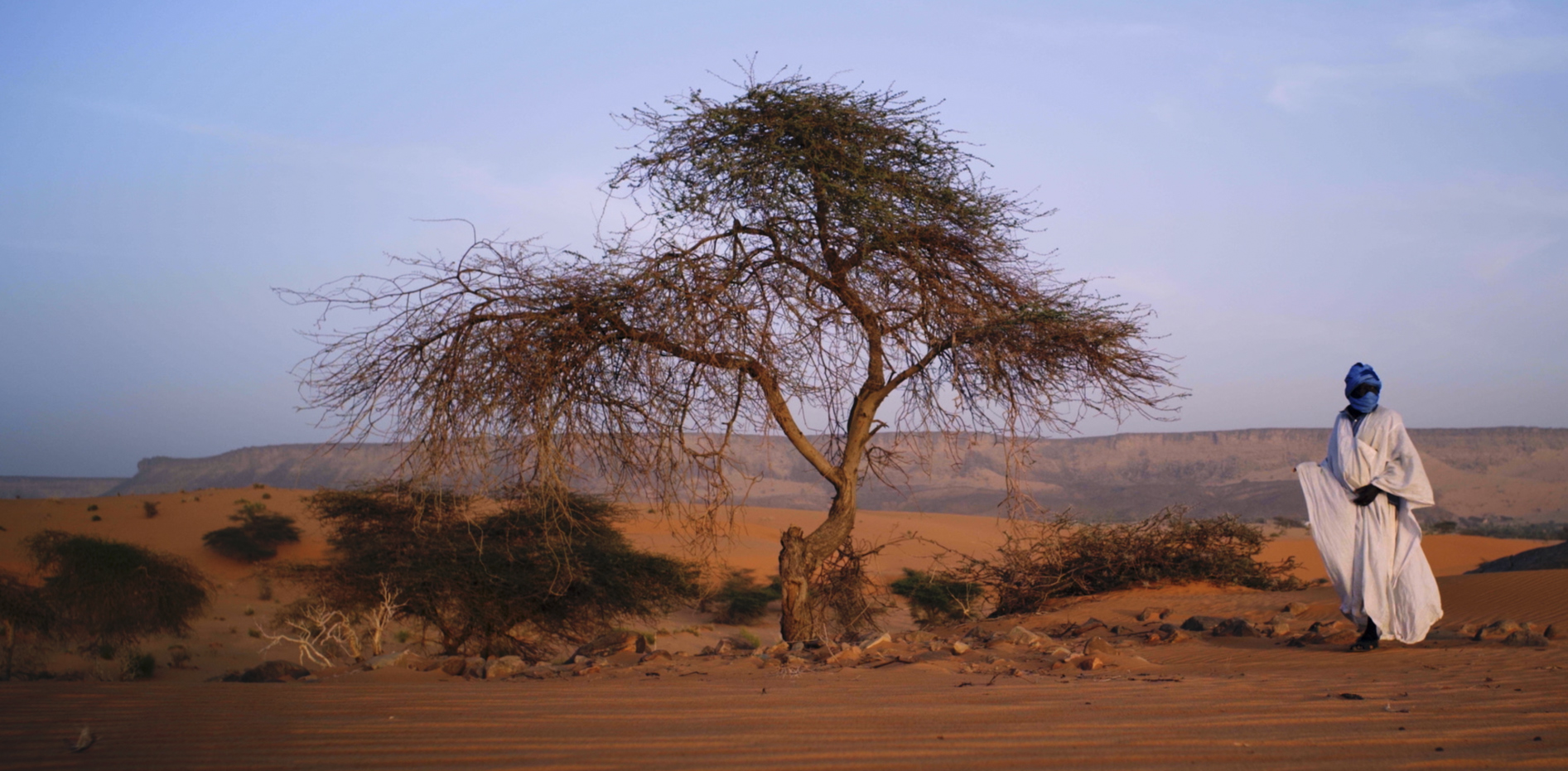 L'invitation © Red Lion